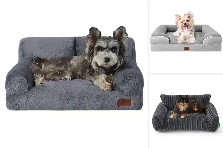 Detailed view of Best Small Dog Sofa Beds
