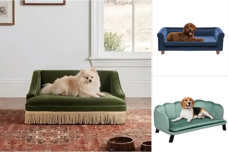 Detailed view of Best Velvet Pet Sofa Beds: Cozy, Stylish, and Durable