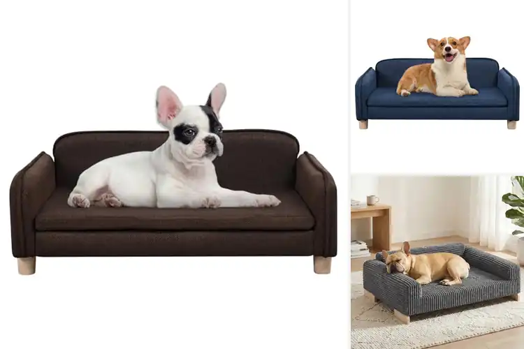 Detailed view of Best Wooden Frame Pet Sofas
